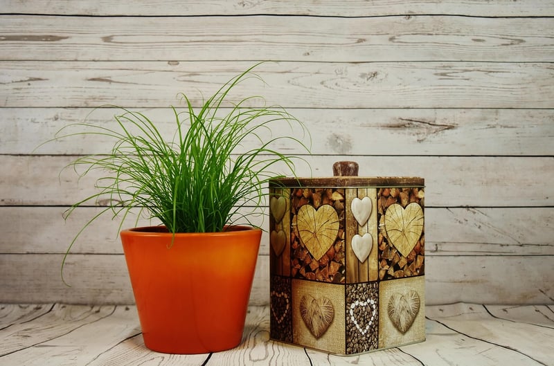 Upcycled Planters